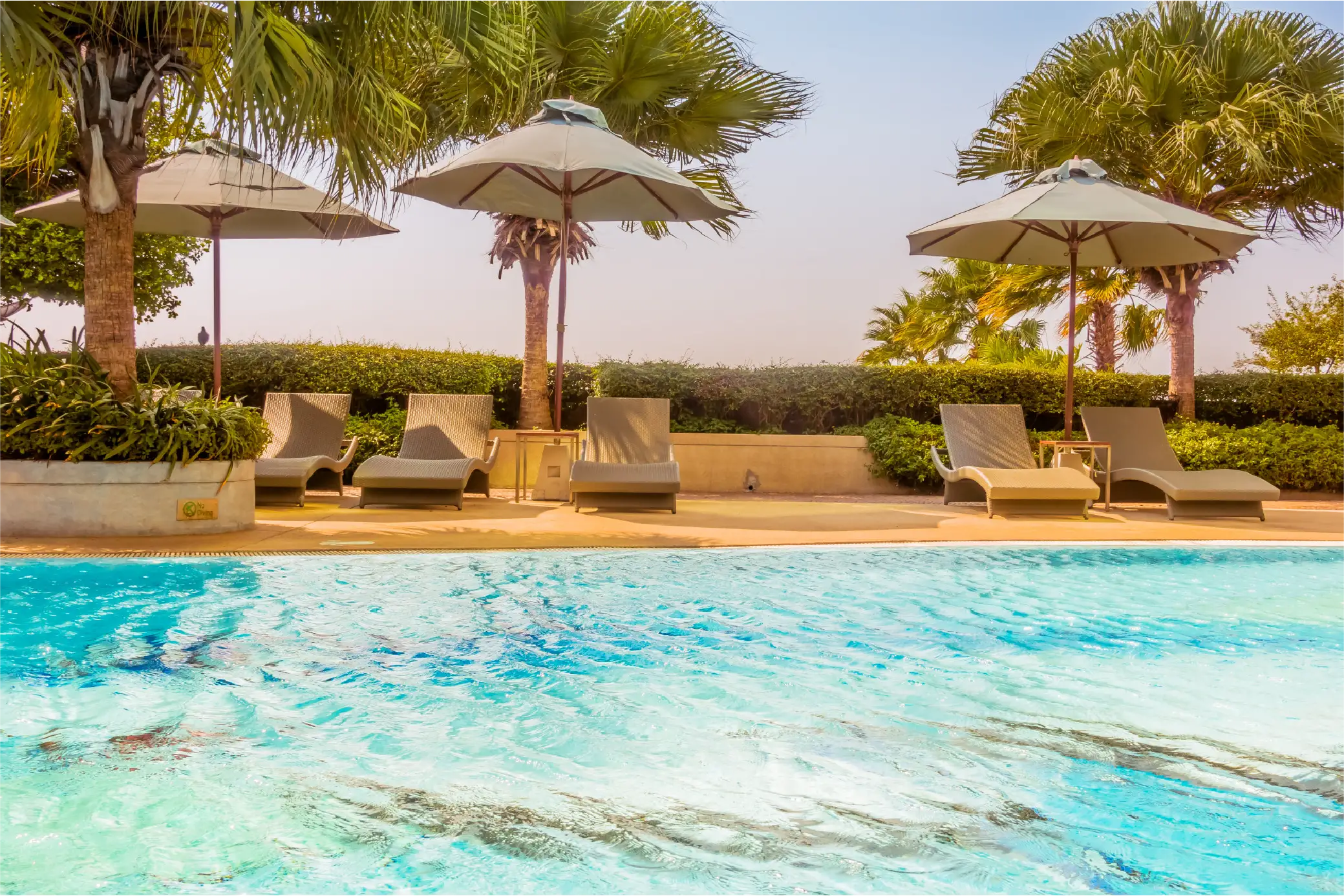 Luxury Hotels & Resorts